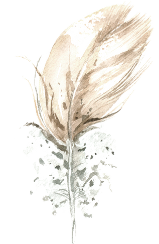 Watercolor feather
